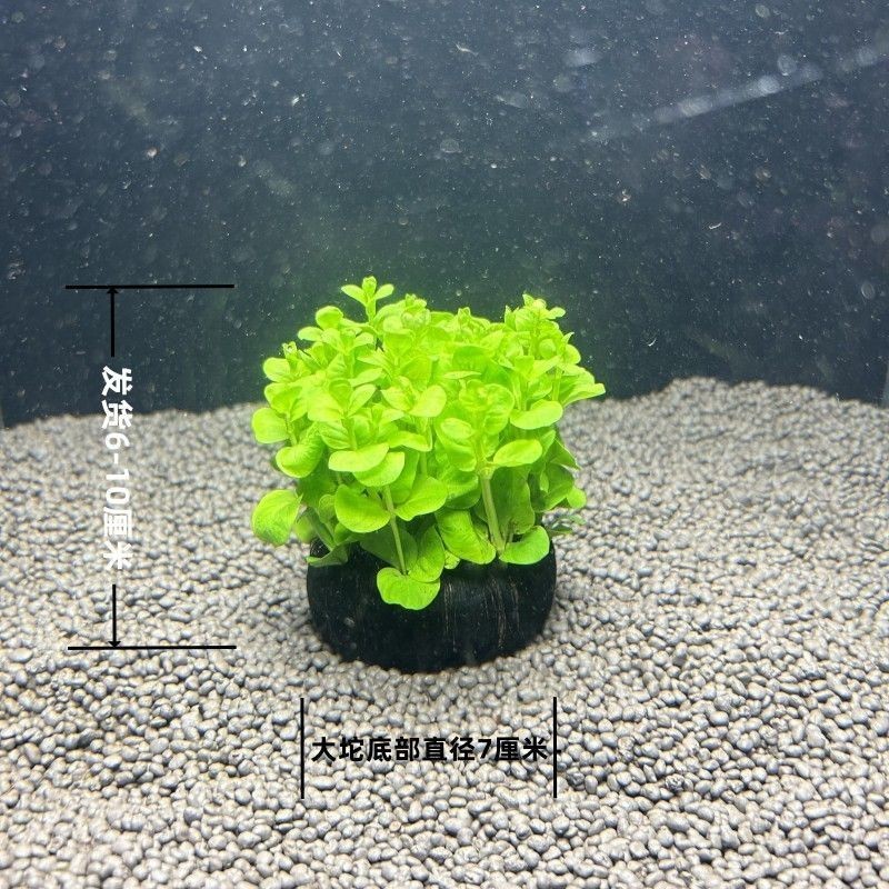 魚缸過濾器哪種牌子好：魚缸過濾器品牌排行榜