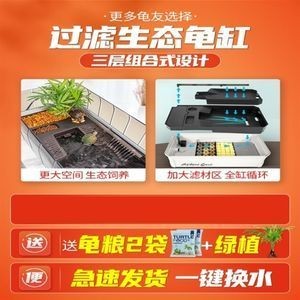 鱷龜魚(yú)缸造景的要點(diǎn):鱷龜魚(yú)缸造景的藝術(shù)與科學(xué)魚(yú)缸造景:如何打造鱷龜友好型魚(yú)缸造景 魚(yú)缸百科 第1張 鱷龜魚(yú)缸造景的要點(diǎn):鱷龜魚(yú)缸造景的藝術(shù)與科學(xué)魚(yú)缸造景:如何打造鱷龜友好型魚(yú)缸造景 鱷龜魚(yú)缸造景的要點(diǎn):鱷龜魚(yú)缸造景的藝術(shù)與科學(xué)魚(yú)缸造景:如何打造鱷龜友好型魚(yú)缸造景 魚(yú)缸百科 第1張