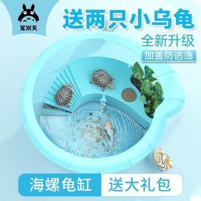 鱷龜魚(yú)缸造景的要點(diǎn):鱷龜魚(yú)缸造景的藝術(shù)與科學(xué)魚(yú)缸造景:如何打造鱷龜友好型魚(yú)缸造景 魚(yú)缸百科 第4張 鱷龜魚(yú)缸造景的要點(diǎn):鱷龜魚(yú)缸造景的藝術(shù)與科學(xué)魚(yú)缸造景:如何打造鱷龜友好型魚(yú)缸造景 鱷龜魚(yú)缸造景的要點(diǎn):鱷龜魚(yú)缸造景的藝術(shù)與科學(xué)魚(yú)缸造景:如何打造鱷龜友好型魚(yú)缸造景 魚(yú)缸百科 第4張