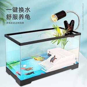 鱷龜魚(yú)缸造景的要點(diǎn)：鱷龜魚(yú)缸造景的藝術(shù)與科學(xué)魚(yú)缸造景：如何打造鱷龜友好型魚(yú)缸造景 鱷龜魚(yú)缸造景的要點(diǎn)：鱷龜魚(yú)缸造景的藝術(shù)與科學(xué)魚(yú)缸造景：如何打造鱷龜友好型魚(yú)缸造景 魚(yú)缸百科 第3張