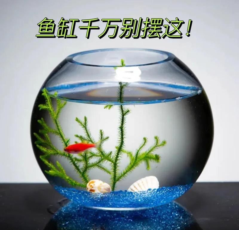 魚缸最忌三個地方