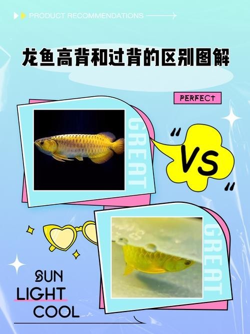 龍魚區分圖
