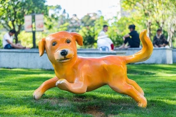 如何參加國際寵物用品展會？