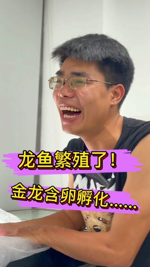 火龍魚的卵長什么樣子？圖片