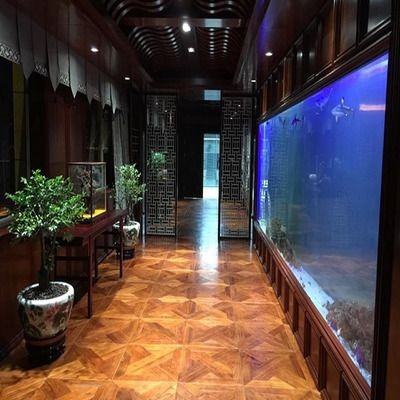 魚缸品牌一線品牌：國內一線魚缸品牌及其詳細信息評價對比水族箱材質對比