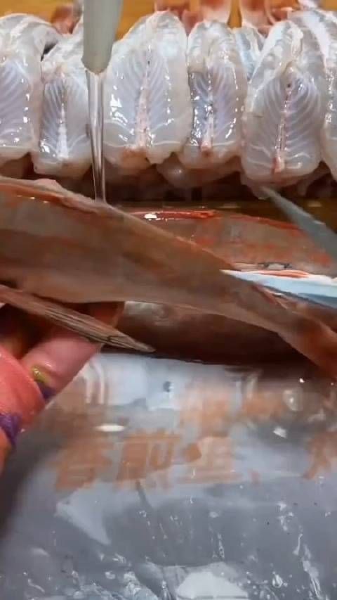 紅娘魚為什么便宜