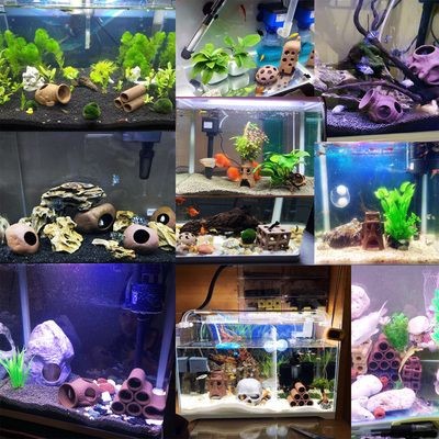 異形魚缸布景：異形魚缸布景風格選擇，異形魚缸特殊材料使用，異形魚缸階梯式造景方法