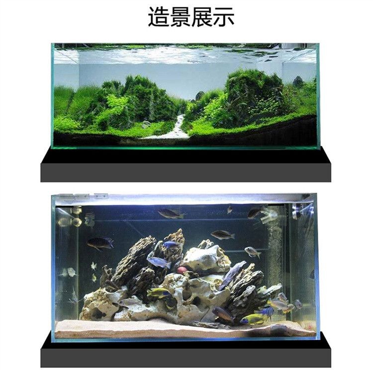 金晶魚缸怎么樣：金晶魚缸以其獨特的材料和優質的材料和良好的市場口碑 金晶魚缸怎么樣：金晶魚缸以其獨特的材料和優質的材料和良好的市場口碑 魚缸百科 第4張