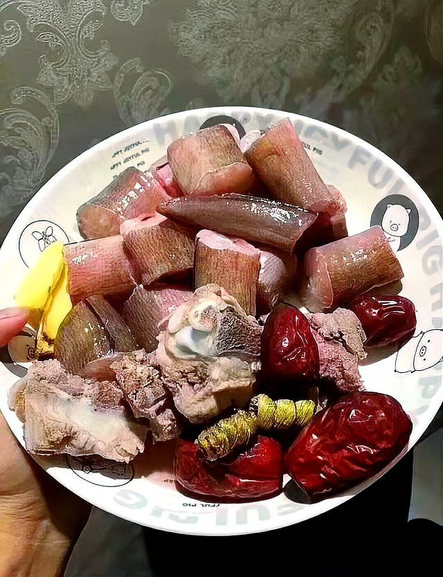 海南土龍魚圖片大全欣賞 海南土龍魚圖片大全欣賞 龍魚百科 第32張