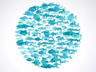 龍魚和虎魚怎樣搭配養殖：龍魚和虎魚怎樣搭配養殖龍魚和虎魚的搭配養殖需要注意以下幾個因素 龍魚和虎魚怎樣搭配養殖：龍魚和虎魚怎樣搭配養殖龍魚和虎魚的搭配養殖需要注意以下幾個因素 龍魚百科 第3張