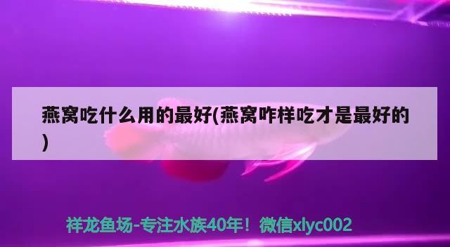 “國際水族飼養繁育培訓班”首次在煙臺開課 - 副本