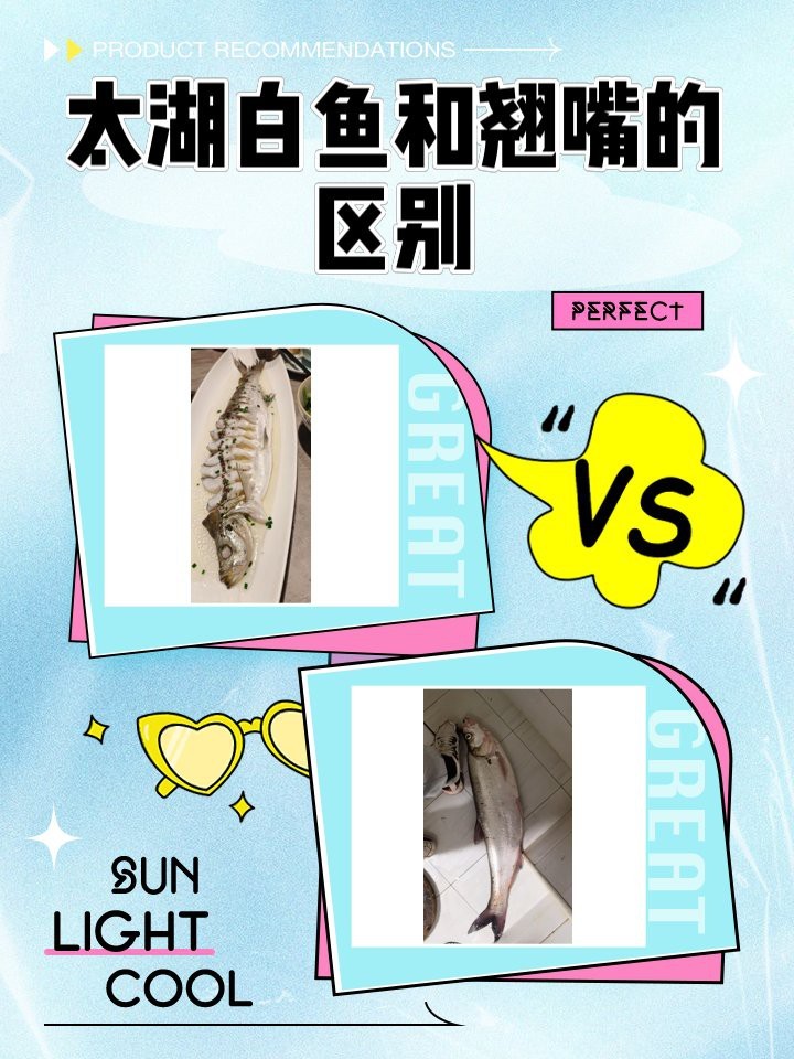 翹嘴魚是不是白七魚