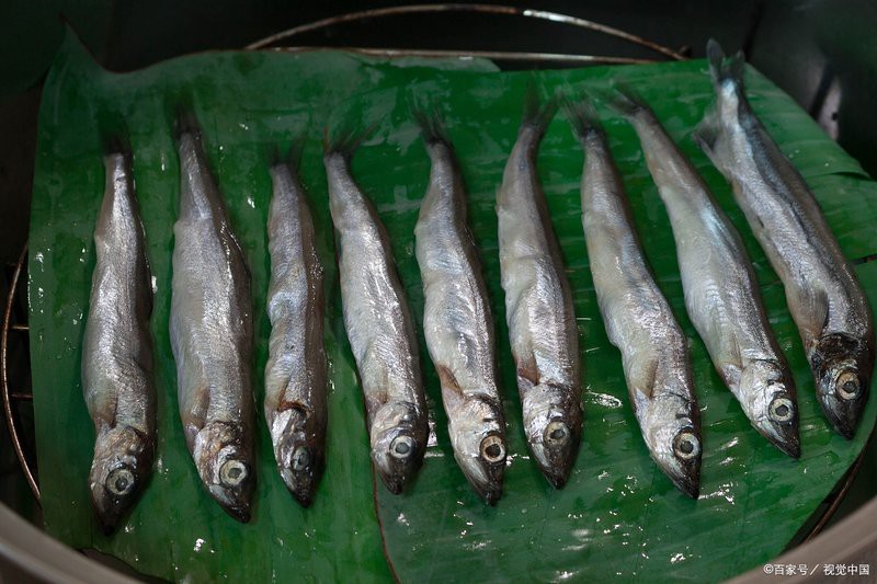 翹嘴魚是不是白七魚