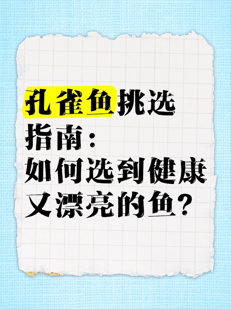 如何判斷孔雀魚是否健康？