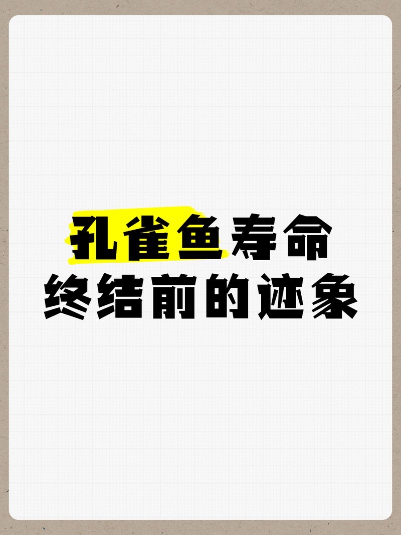 如何判斷孔雀魚是否健康？ 如何判斷孔雀魚是否健康？ 2025長城杯龍魚大賽 第6張