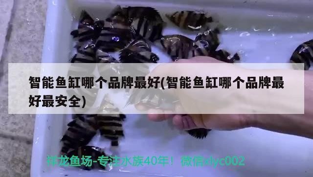 <strong><mark>彰武</mark></strong>縣鑫鑫魚族花卉店（<strong><mark>彰武</mark></strong>縣鑫鑫魚族花卉店電話）