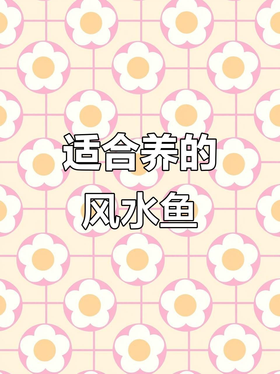 除了龍魚，還有哪些風(fēng)水魚 除了龍魚，還有哪些風(fēng)水魚 龍魚論壇 第9張