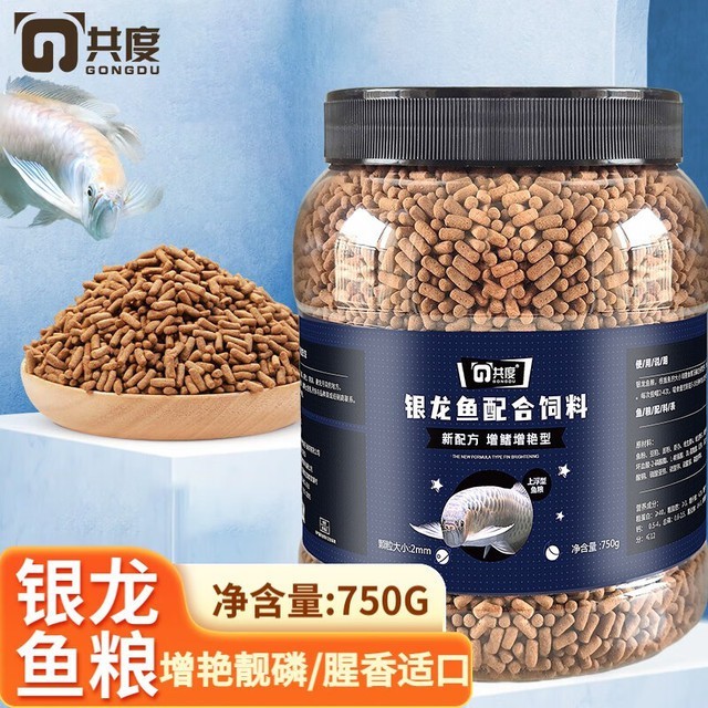 銀龍魚飼養(yǎng)成本高嗎？