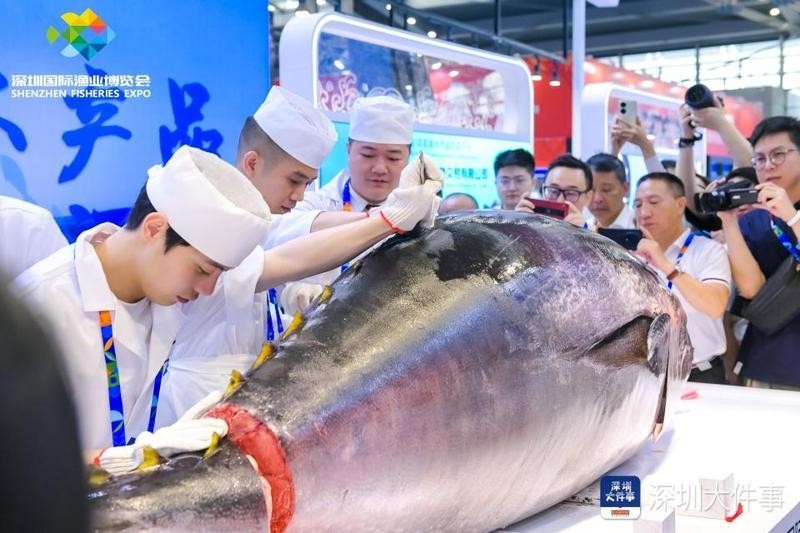 2025年還有哪些觀賞魚展會？