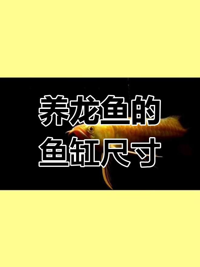 龍缸尺寸如何選擇？ 龍缸尺寸如何選擇？ 龍魚論壇 第4張