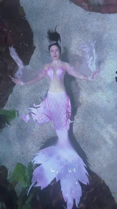 紅尾美人魚圖片 龍魚論壇 第19張 紅尾美人魚圖片 紅尾美人魚圖片 龍魚論壇 第19張