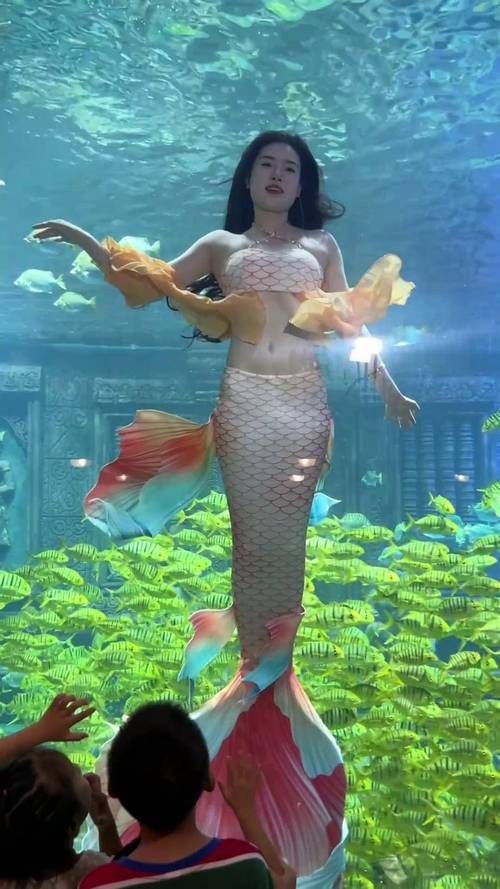 紅尾美人魚圖片 龍魚論壇 第18張 紅尾美人魚圖片 紅尾美人魚圖片 龍魚論壇 第18張