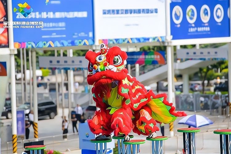 2024年深圳還有哪些龍魚相關(guān)活動(dòng)？