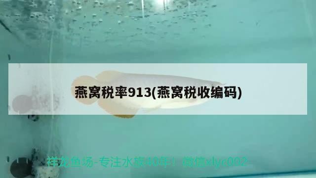 銀龍魚會攻擊其他魚嗎為什么（銀龍魚有攻擊性嗎） 銀龍魚會攻擊其他魚嗎為什么（銀龍魚有攻擊性嗎） 銀龍魚百科 第2張