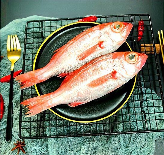 紅方頭魚