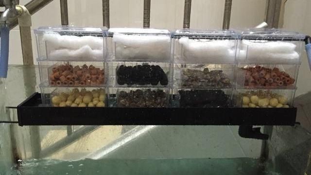 魚缸濾材擺放指南：底濾魚缸濾材擺放指南
