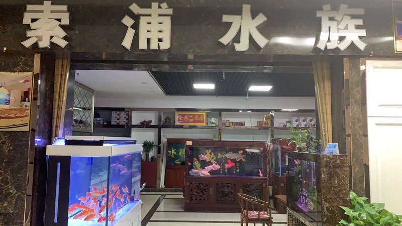 如何聯系周魚龍缸廠家？