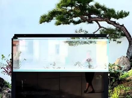 如何聯系周魚龍缸廠家？