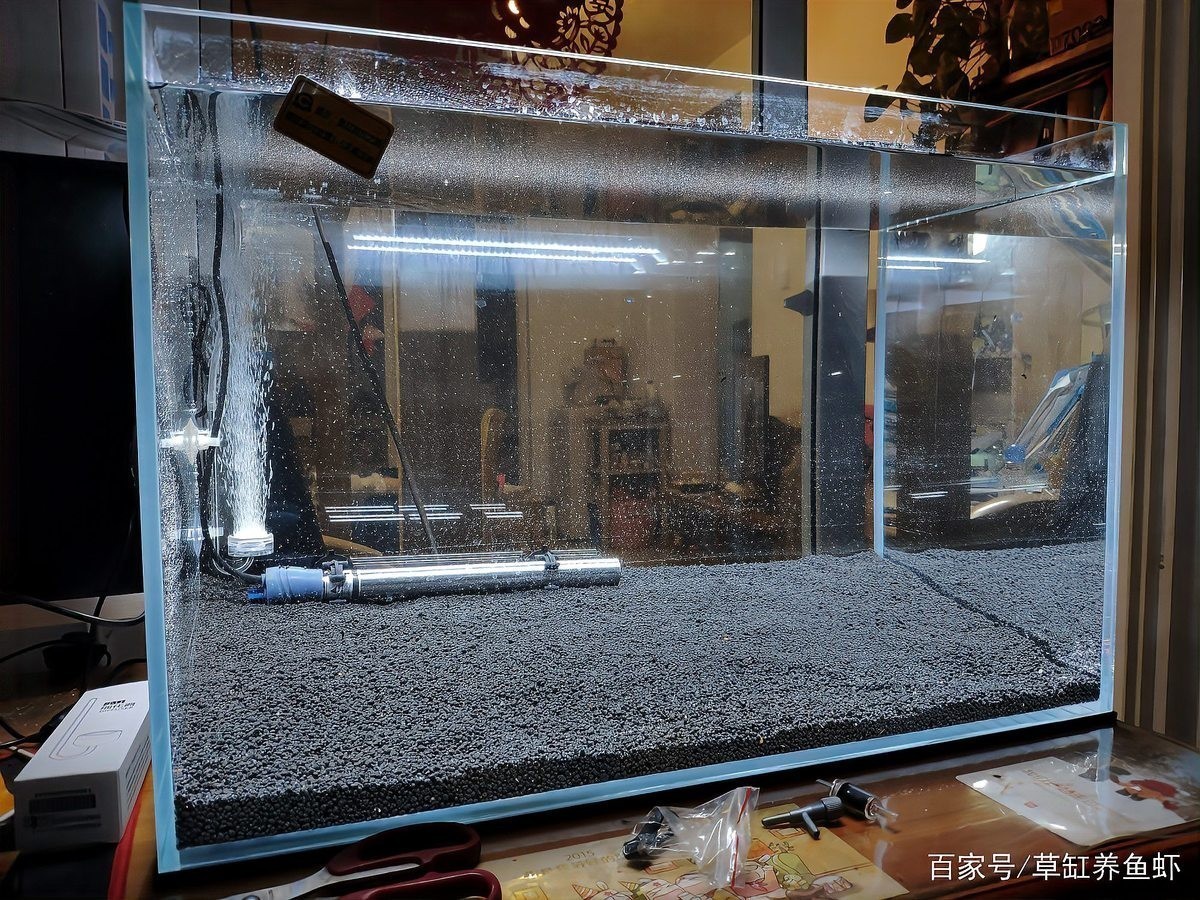 硝化細菌培養需要多長時間？