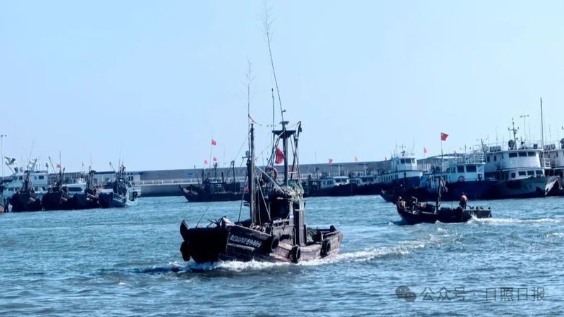 紅頭魚多少錢一只 紅頭魚多少錢一只 龍魚論壇 第9張