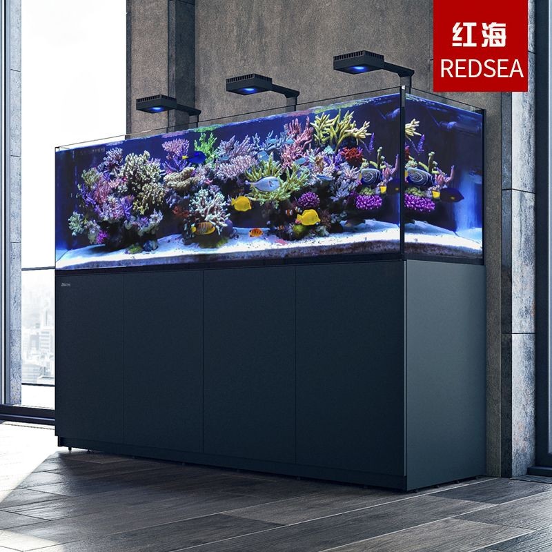 紅海魚缸設計理念解析紅海魚缸設計理念解析紅海魚缸設計理念：紅海海水魚缸設計理念解析紅海魚缸設計理念解析