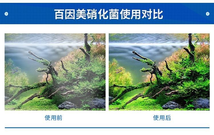底濾魚缸的使用壽命是多少？：底濾魚缸底濾魚缸的使用壽命一般在5-10年左右