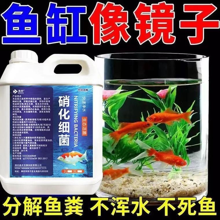 底濾魚缸的使用壽命是多少？：底濾魚缸底濾魚缸的使用壽命一般在5-10年左右
