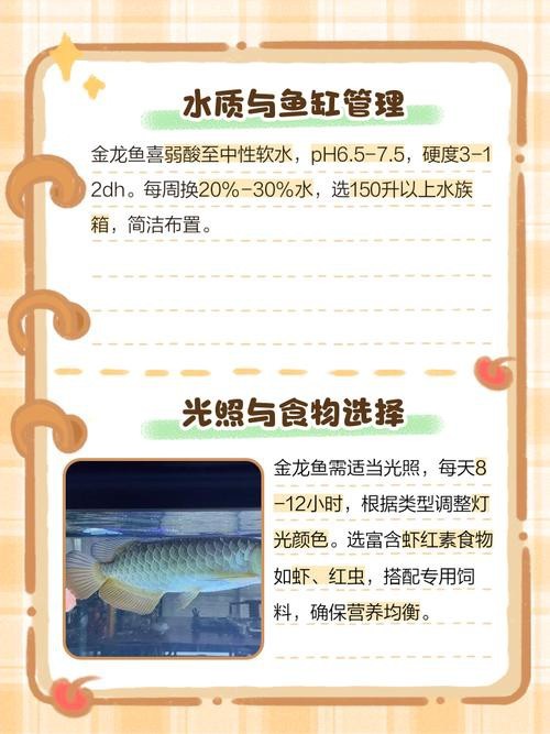 養(yǎng)金龍魚用什么背景顏色 養(yǎng)金龍魚用什么背景顏色 龍魚百科 第1張