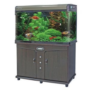 九星魚缸和閩江魚缸區別：九星魚缸與閩江九星魚缸的區別
