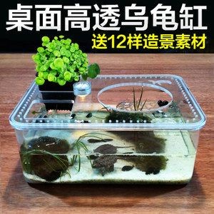 觀賞魚混養的注意事項：如何選擇混養魚缸