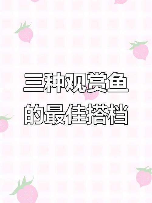 龍魚可以和虎魚混養嗎圖片對比