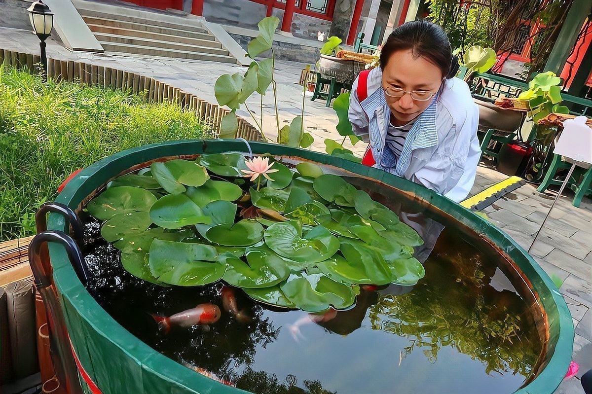 2025金魚比賽賽程