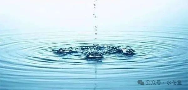 如何判斷水質是否適合觀賞蝦 如何判斷水質是否適合觀賞蝦 2025長城杯龍魚大賽 第8張