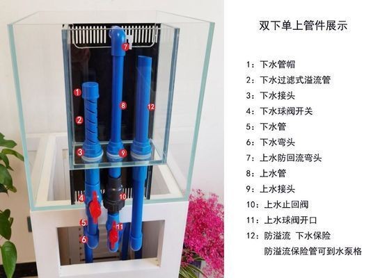 底濾魚缸原理視頻：底濾魚缸工作原理 底濾魚缸原理視頻：底濾魚缸工作原理 魚缸百科 第3張