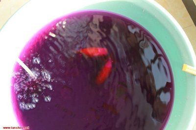 給魚缸消毒放高錳酸鉀的比例（高錳酸鉀在魚缸消毒中的使用比例） 給魚缸消毒放高錳酸鉀的比例（高錳酸鉀在魚缸消毒中的使用比例） 魚缸百科 第4張