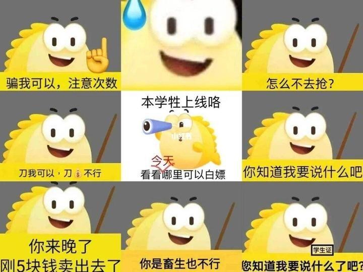 如何在二手龍魚交易平臺上安全交易？