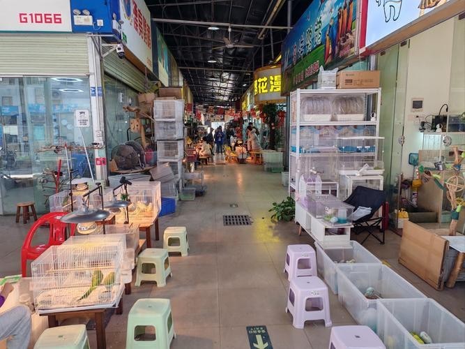 廣州花地灣壹遇龍魚水族