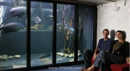 魚缸安裝視頻教程：南京溢欣水族用品有限公司&nbsp在線視頻教程