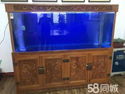 淡水魚(yú)缸的消毒方法：淡水魚(yú)缸消毒工作淡水魚(yú)缸消毒工作淡水魚(yú)缸消毒工作