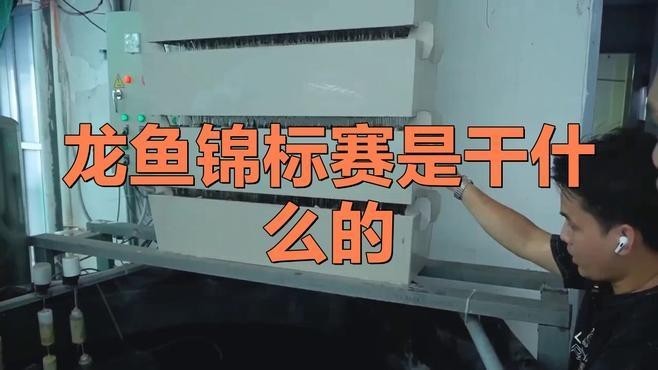 世界龍魚錦標賽是什么